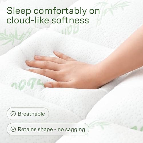 Niagara Sleep Solution Ultra Soft Queen Size Mattress Topper - Rayon Derived from Bamboo Pillow Top Mattress Pad for Back Pain Relief - Naturally Cooling for Hot Sleepers, Green