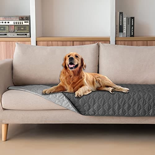 gogobunny Waterproof Pet Blanket Review: Is It Worth It?