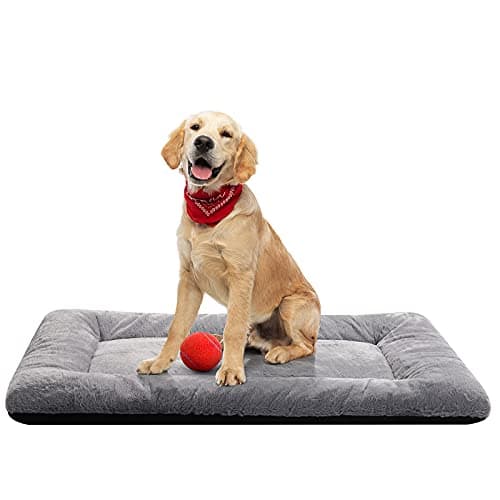 Tapis Couchage Chien VERZEY 36 Pouces – Test & Avis Complet