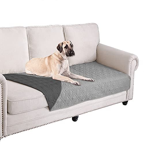 Ameritex Waterproof Pet Blanket Review – Is It Worth It?