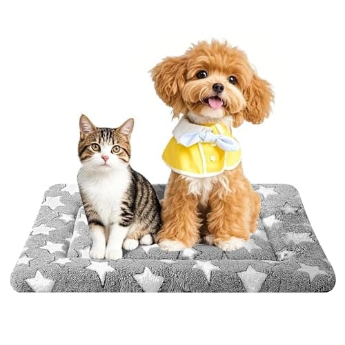 Tapis Couchage Chien pobopobo : Test et Avis Complet