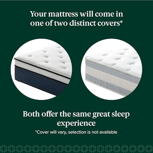 Zinus 12 Inch Comfort Support Hybrid Mattress [New Version], Queen, Fiberglass Free, Medium Plush, Motion Isolation, Certified Safe Foams & Fabric, Mattress in A Box