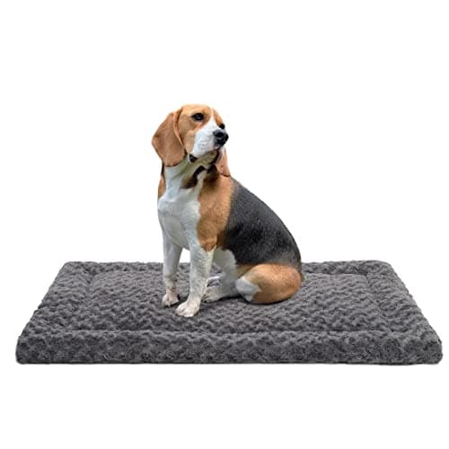 Recensione Tappeto per Cani Lavabile Exsnugy – Il Test Completo