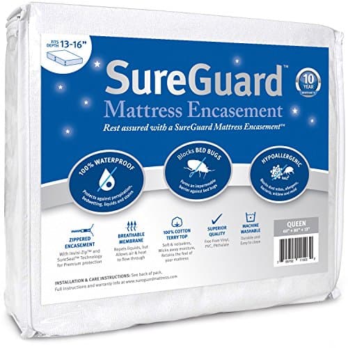 Housse de Matelas Queen Anti Punaises de Lit : Test Complet