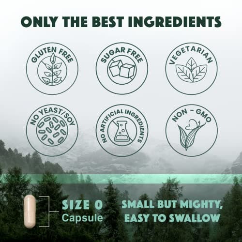 Natural Rhythm Triple Calm Magnesium Complex - 120 Capsules, Chelated Magnesium Glycinate, Taurate & Malate, High Absorption Supplement for Sleep, Stress, Muscle & Heart Support, Non-GMO, Vegan