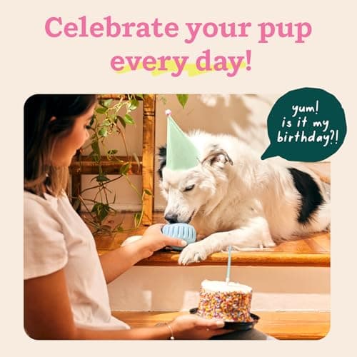 WOOF Party Pupsicle - Long-Lasting Interactive Dog Toys for Boredom - Low-Mess Design - Birthday Gifts for Dogs - Large Dog Toys - Buddy Blue