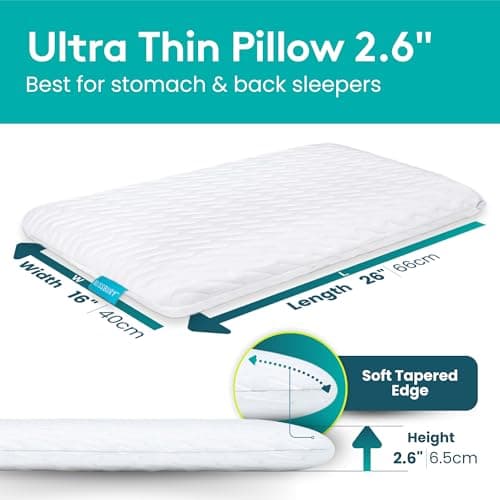 BLISSBURY Stomach Sleeping Pillow – Ultra Thin 2.6" Memory Foam for Neck and Cervical Support | Flat Pillow for Belly Sleeper | Low Loft Design for Comfort and Better Sleep
