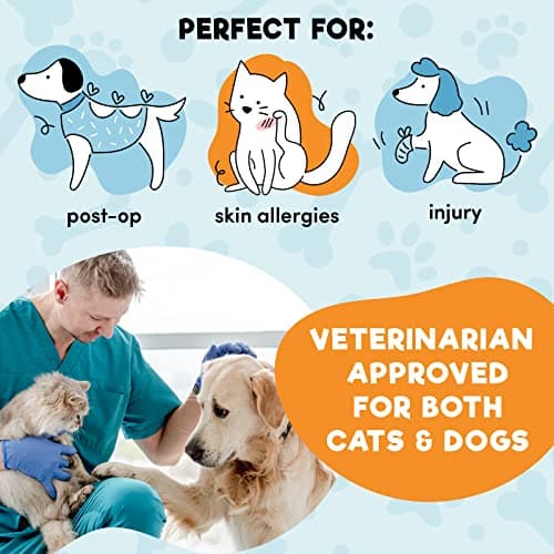 BENCMATE Inflatable Dog Cone Collar Alternative, Soft Dog Cone for Small Medium Large Dogs and Cats, Neck Recovery ECollar Donut Collar After Surgery (X-Large, Blue)